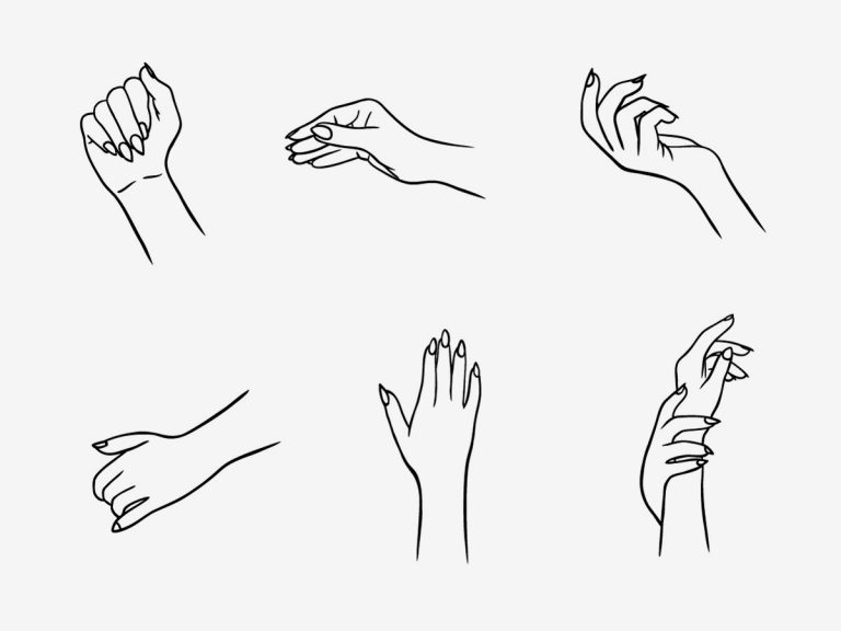 Hand-drawn woman's hands and fingers collection