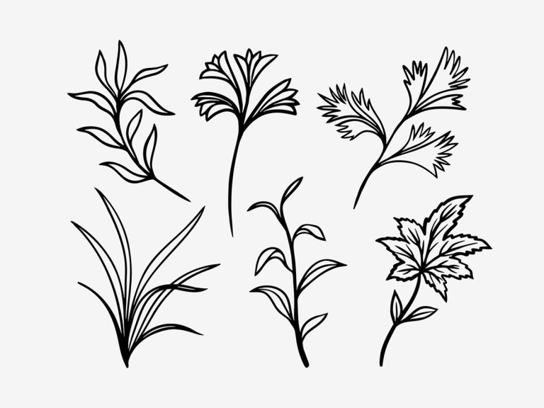 Hand drawn vector floral elements