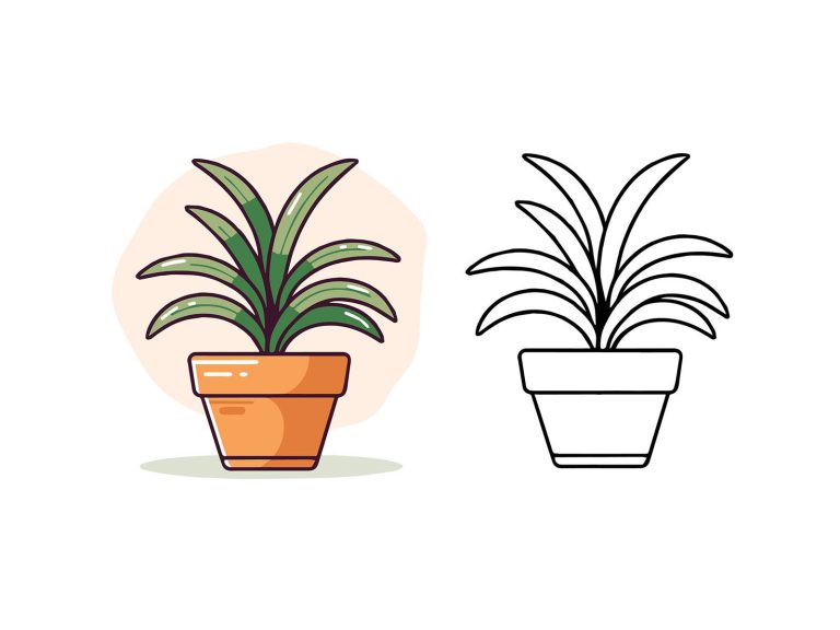 Vector indoor plant isolated on white background