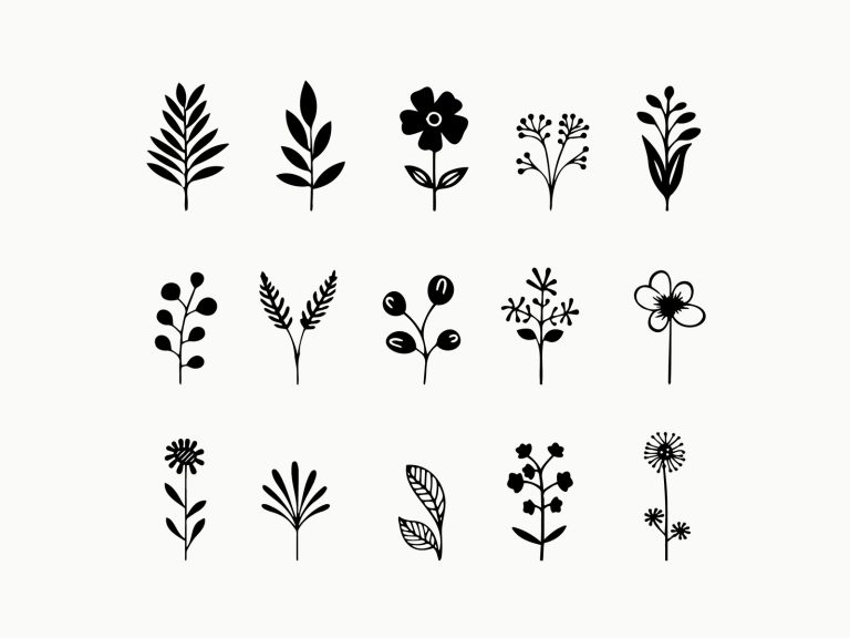 Vector Indoor Floral Elements