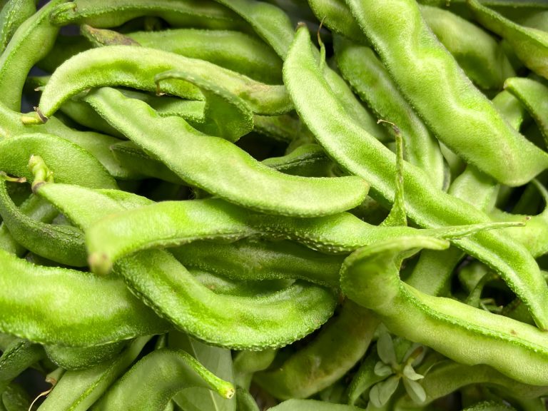Fresh Green Hyacinth Beans Photo Background