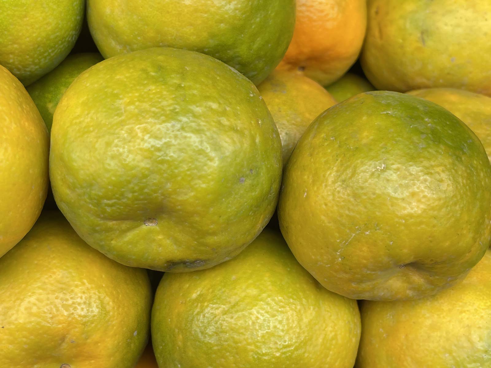 Fresh Kamala Orange Fruit Image