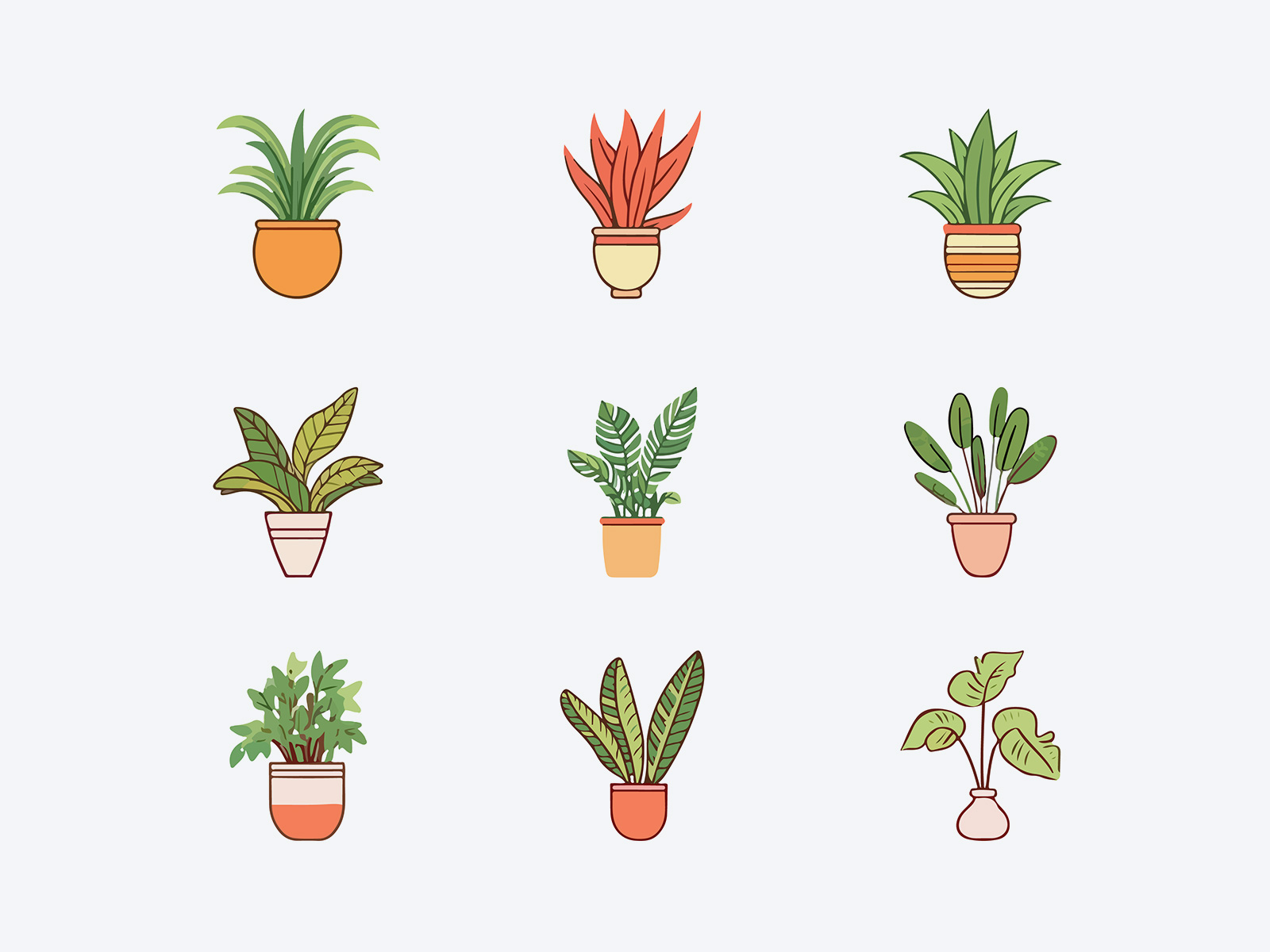 Colorful Indoor Plants In Pots